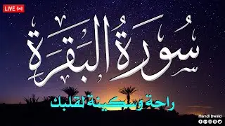 سورة البقرة طاردة الشياطين💚 بصوت هادئ ومريح جدا جدا 💚💤تلاوة هادئة للنوم والراحة النفسية 😴