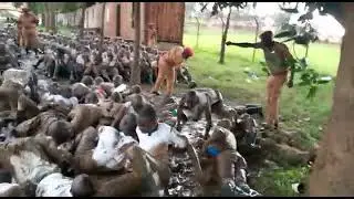 prisons training 2019