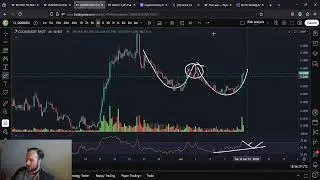 COOKIE DAO IS PUMPING: DONT FOMO