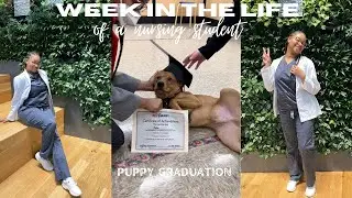 WEEKS IN THE LIFE OF A FIRST SEMESTER NURSING STUDENT| PUPPY GRADUATION