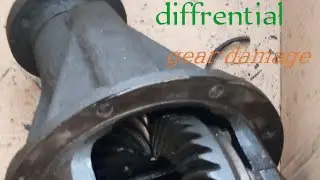car Omni differential gear damage
