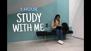 1 Hour Study With Me | Library Study | Background Noise 