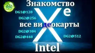 Первое знакомство с видеокартами Intel Xe.