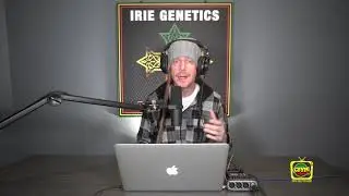 #611 Determining The Sex Of Our Plants