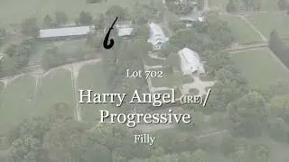Lot 702: Harry Angel x Progressive Filly | Magic Millions