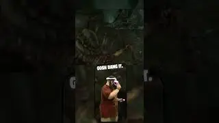 Spiders Ruined my Day 🕷️ Skyrim VR