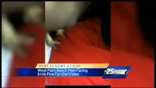 West Palm Beach man facing 15K fine for viral owl video
