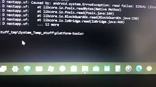 Samsung phone has a kernel panic when opening /Dev (interesting video)