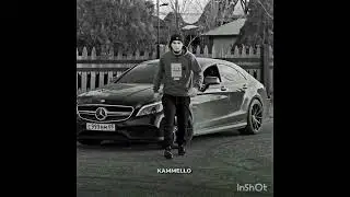 Подборка видео из Tik Tok с WENGALLBI