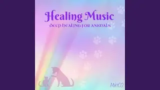 Healing Music Deep Healing for Animals