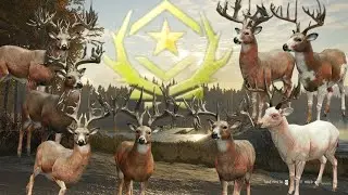 Mule Deer Grind #10, Great one grind #82, Super Rare Grind #16!