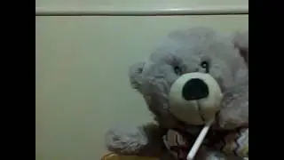 Gangster bear