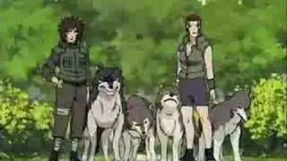 Kiba Inuzuka AMV