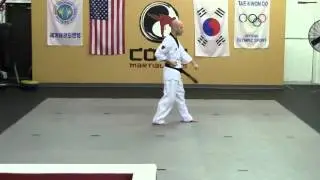 Tae-Geuk 3 Blue Belt Form