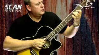 Fairclough Starling Sunburst Guitar