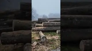 The cut wood waiting for its turn to be chopped: A twist in the lumber's journey! 😄🪵