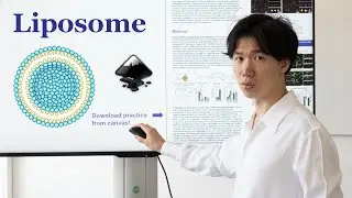 How to draw Liposome in Inkscape | Scientific illustration | Graphical abstract
