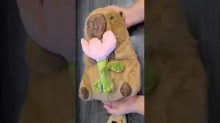 Opening Package from Amazon | Capybara Stuffed Animal Soft Plushie Pillow with Keychain #capybara