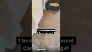 MOVE OUT CLEANING❗️❗️❗️