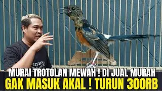 GAK MASUK AKAL ! TURUN SAMPE 300RB TERNYATA INI GUDANG TROTOLAN PROSPEK CALON JAWARA DI JAKARTA