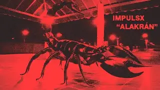 IMPULSX, OhMyGon! - ALAKRAN