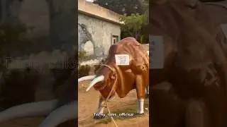 Science park Trichy #trichy #park #sciencepark #games #kids  #trendingshorts #explore #youtubeshorts