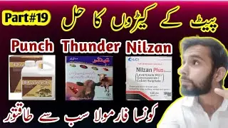Most Powerful Dewormer For Best Results | Nilzan | Punch | Thunder | Ivermectin 