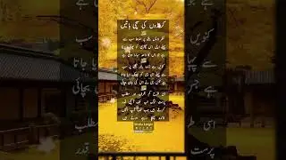 Sachi Baatein | Achi Baatein | Urdu Aqwal | Aqwal e Zareen | Deep Urdu Lines | Urdu Quotes