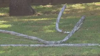 Fort Worth man catches thieves trying to steal copper wire from utility pole