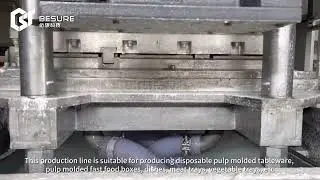 Full Automatic pulp molding tableware production line
