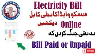 Electricity Bill Online Check | WAPDA Duplicate Bill Download & Payment Method