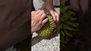 It&rsquo;s almost impossible for you to open a Frozen Durian.