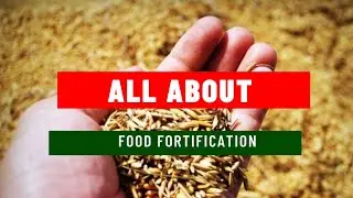 All about Food Fortification!