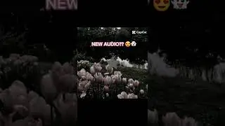 New Audio?? 🤩 Use this sound 🔊 #capcut #newaudio #trend #viral