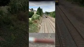 High speed train honking