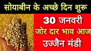 soyabin bhav Ujjain mandi l 30 january 2026 l ujjain mandi bhav Today l live bhav