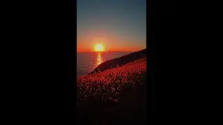Byłem umarły a żyję! ~ Grzegorz Suszek