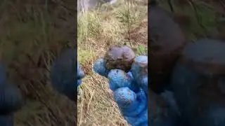 Cannon Ball found Magnet fishing (grape shot)
