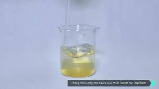 Plant Anti Stress Immune Protein Solution Fertilizer