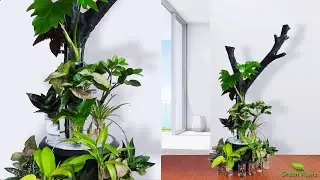 Indoor Plants Grow and Decorate Only in Water | Water Garden for Indoor Balcony Home//GREEN PLANTS