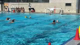 Cbad vs Newport Blue