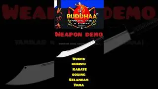 #weapon demo#martialarts#training#practice#techniques# fight#differentlyabled #motivation#awareness#