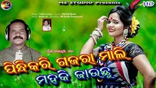 pindhi kari gajara mali mahaki jauchhu //Nabin Kunar //new sambalpuri folk song 2021