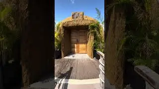 Coconest Langkawi Day 1 #shorts #shortvideo