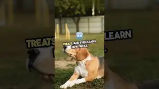 The science of Dogs Cognition 🐶 #shorts #trending #viral #youtubeshorts #facts #ytshorts #shortvideo