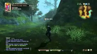 FFXIV Levequest