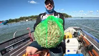 Prawning the Southern bay islands, Moreton Bay, April 2024 #prawns #moretonbay