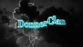 Warrior Cats Clans als Katzen/Menschen