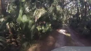 FJ Cruiser at Seminole National Forest in Florida March of 18