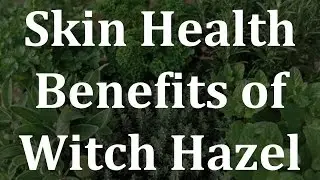 Skin Health Benefits of Witch Hazel - Health Benefits of Witch Hazel